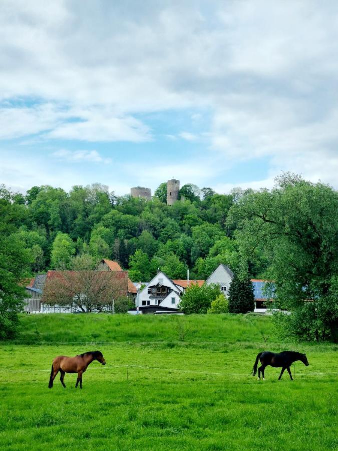 Ferienhaus Diemelaue Mit Klimaanlage Bad Karlshafen Eksteriør billede